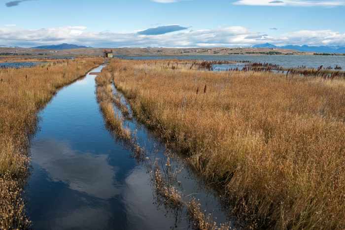 Reserva Laguna Nimez
